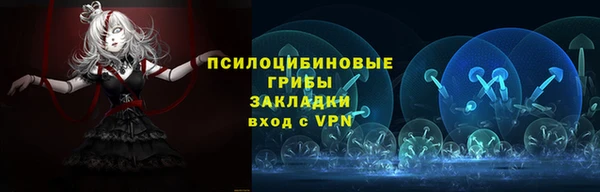мдпв Арсеньев